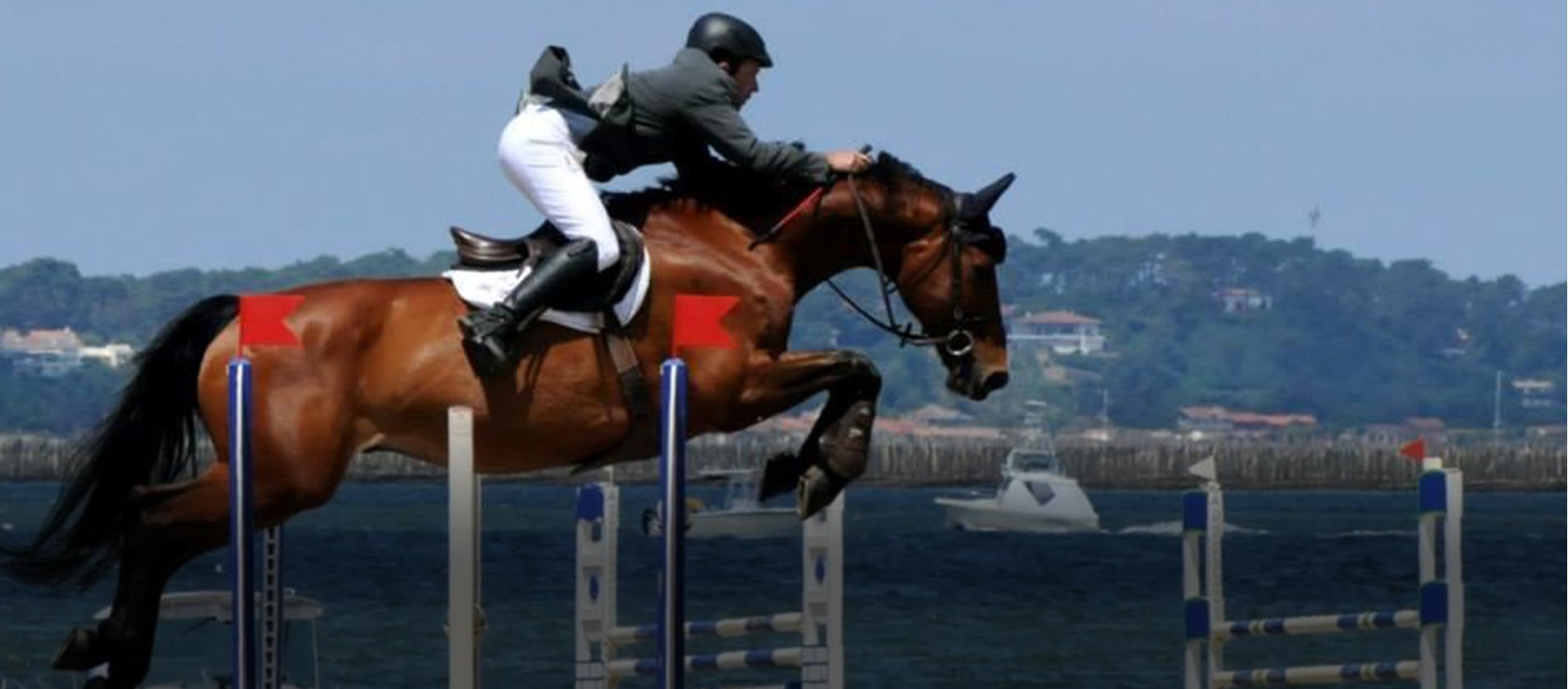 Les Écuries de Sainte Hélène