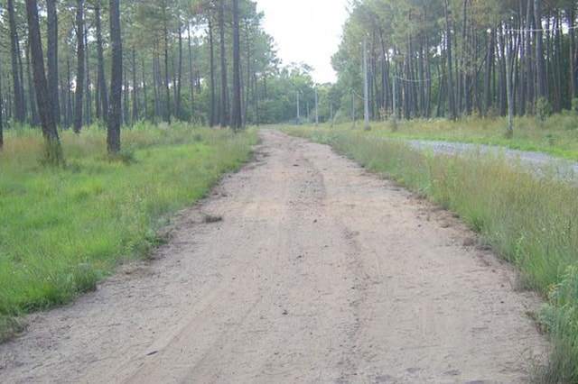 écurie sainte médoc