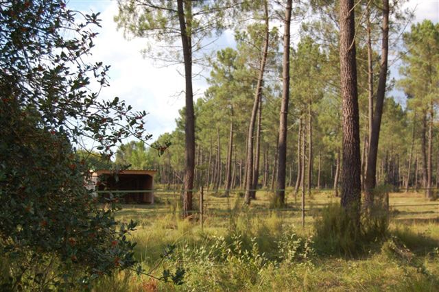 pension cheval sainte hélène