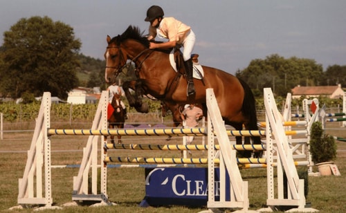 enseignant cavalier sainte hélène