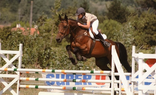 enseignant cavalier Lacanau